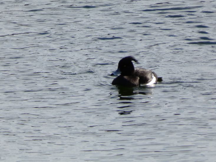 Click to see next picture