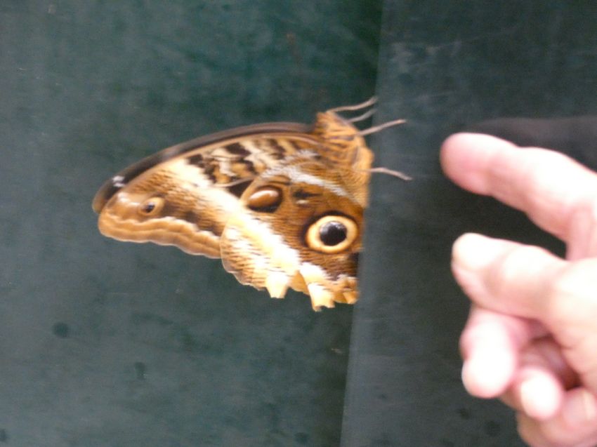 Click to see next picture