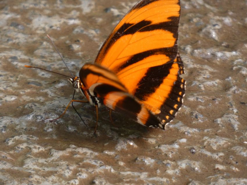 Click to see next picture